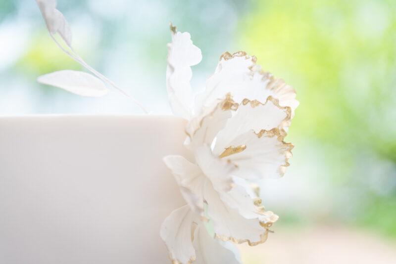 Fantasy Sugar Flower with Gold Tips