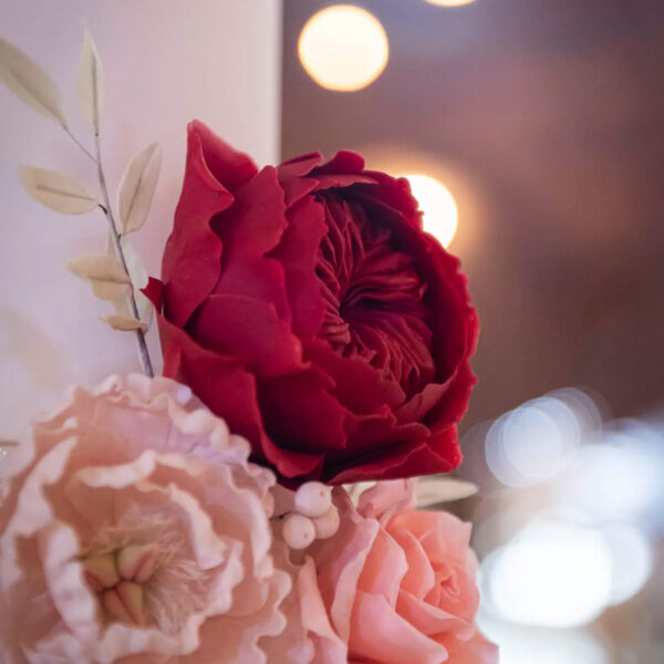 Gorgeous Red Poenies and Pink Roses